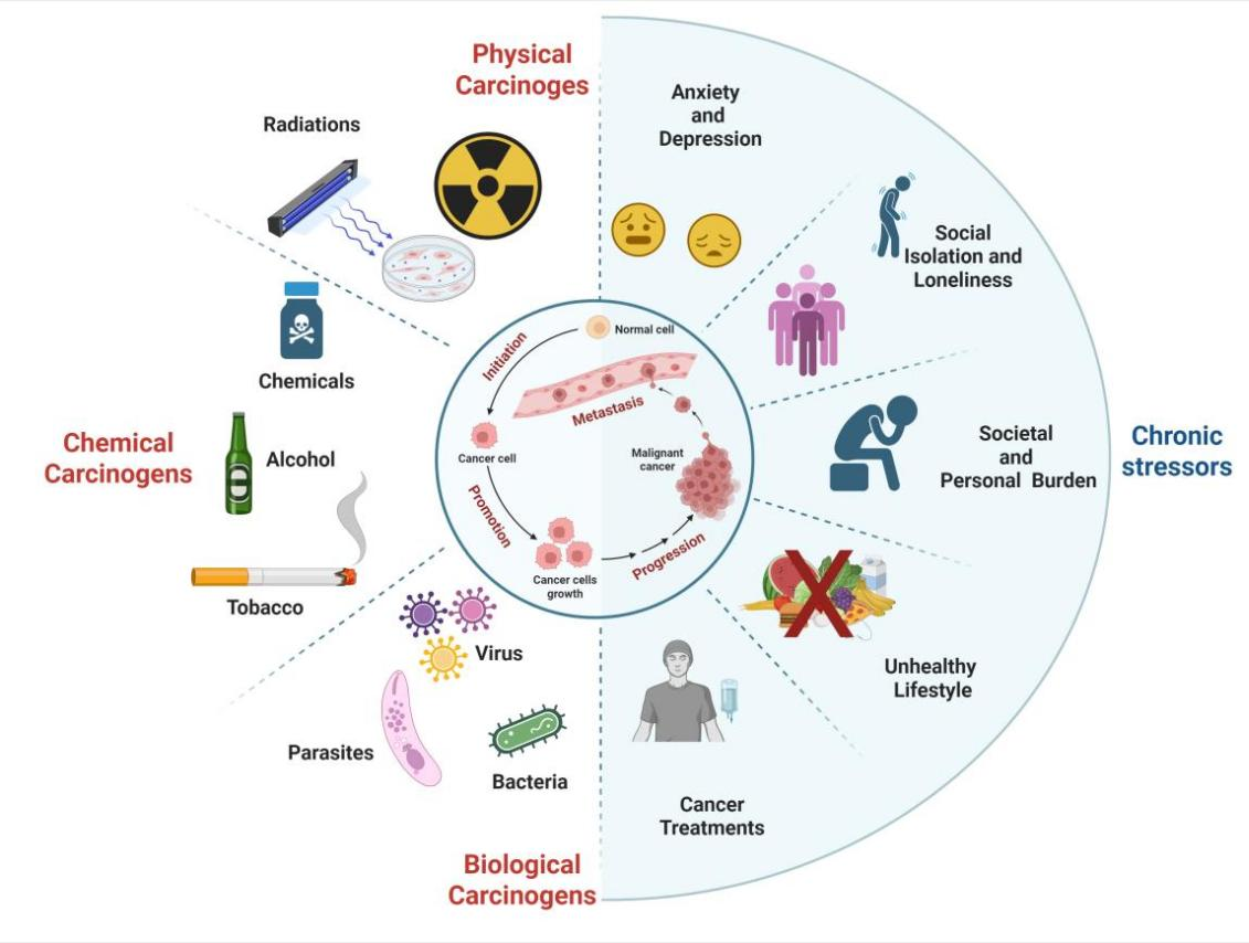 郑州大学董子钢教授团队在国际著名期刊《Molecular cancer》发表综述性文章