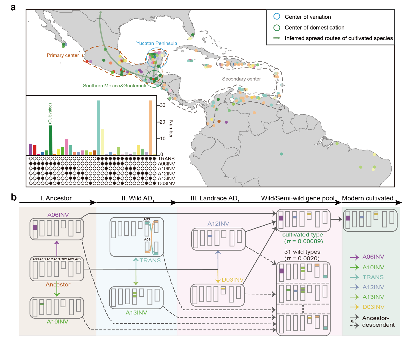 郑州大学在陆地棉进化轨迹与重要性状遗传架构方面取得积极进展