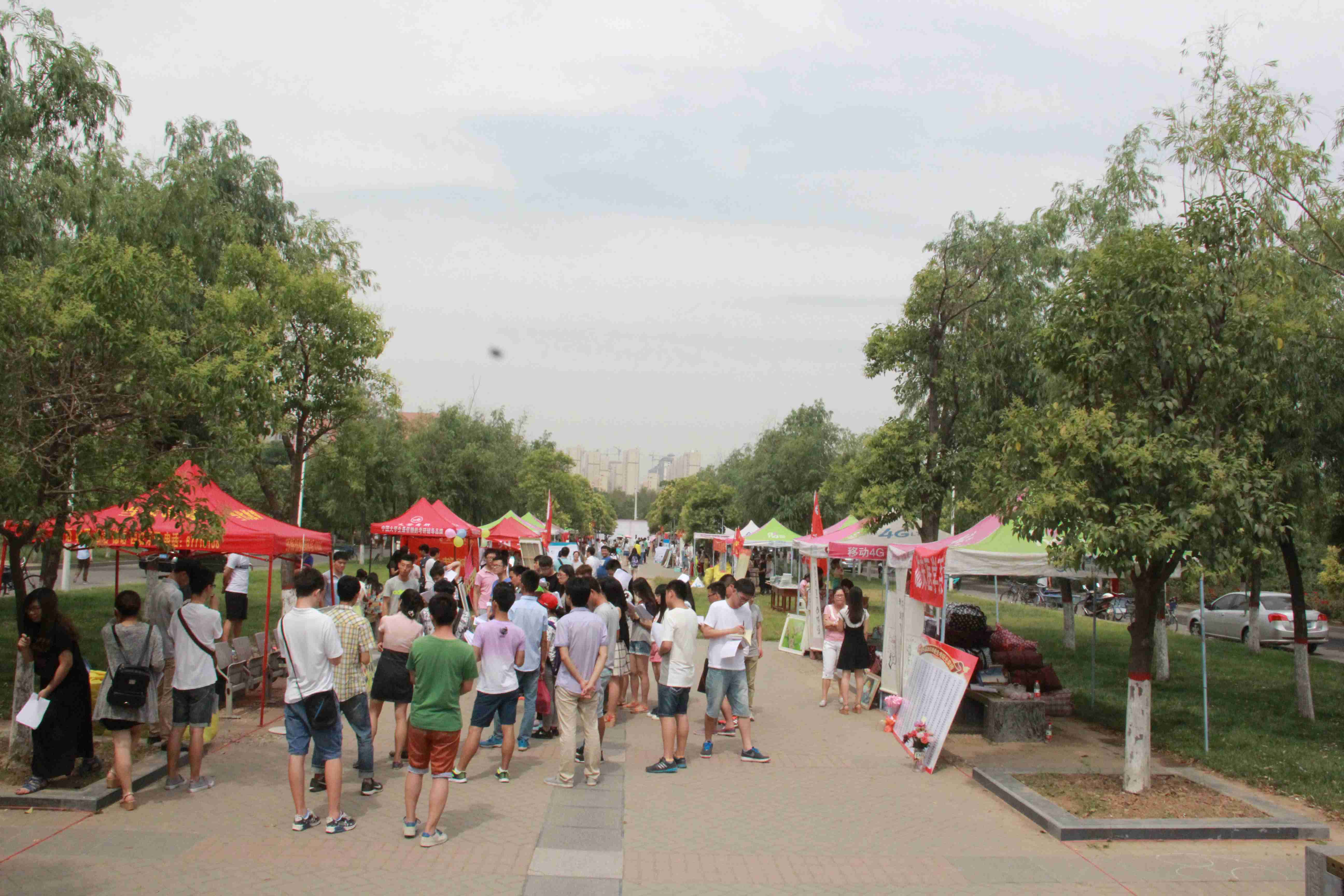 郑州大学举办2015届毕业生“三个一”主题教育活动优秀成果展
