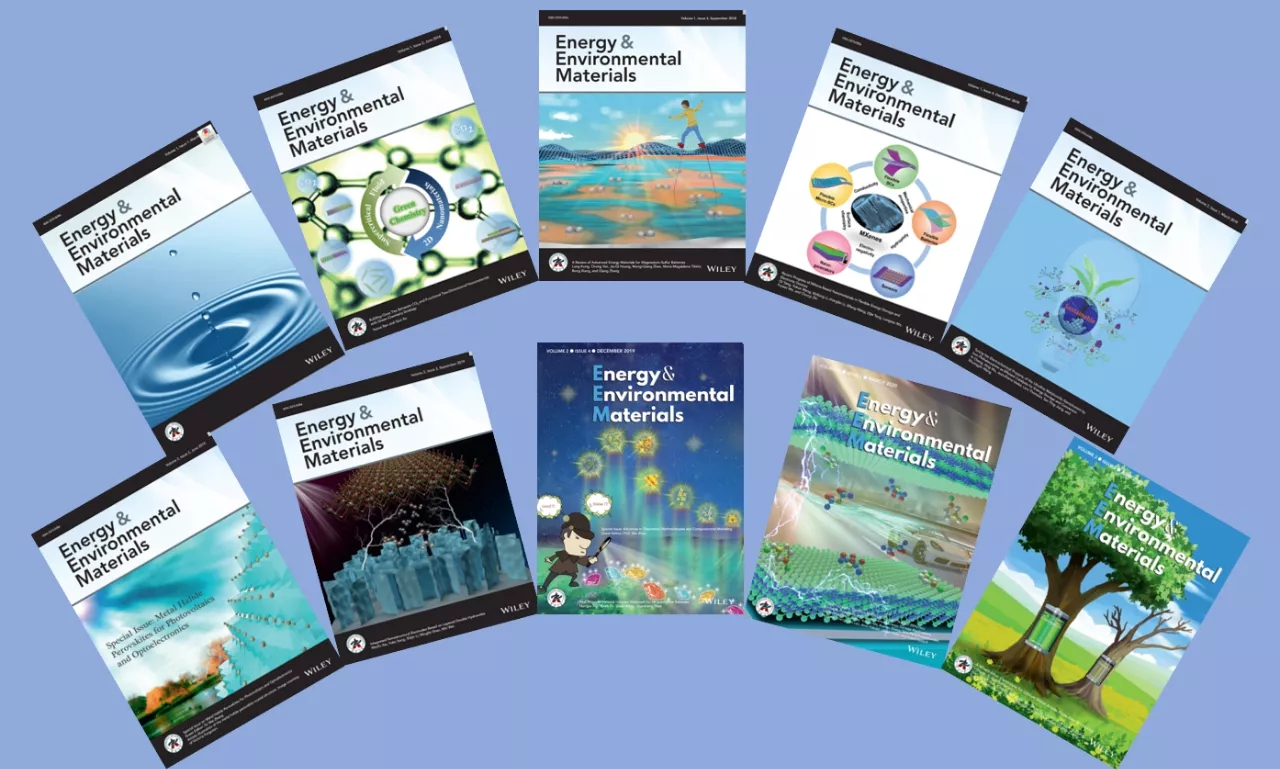 郑大故事：EEM 8年，从学术新苗到国际名片的跨越之路